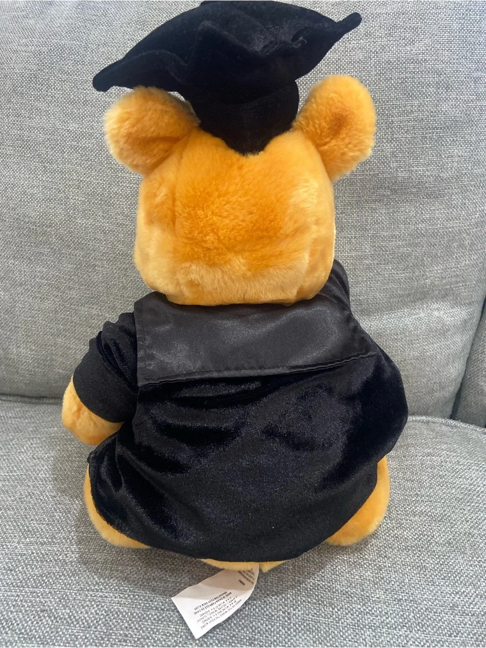 Disney Vintage Winnie The Pooh Graduation Plush